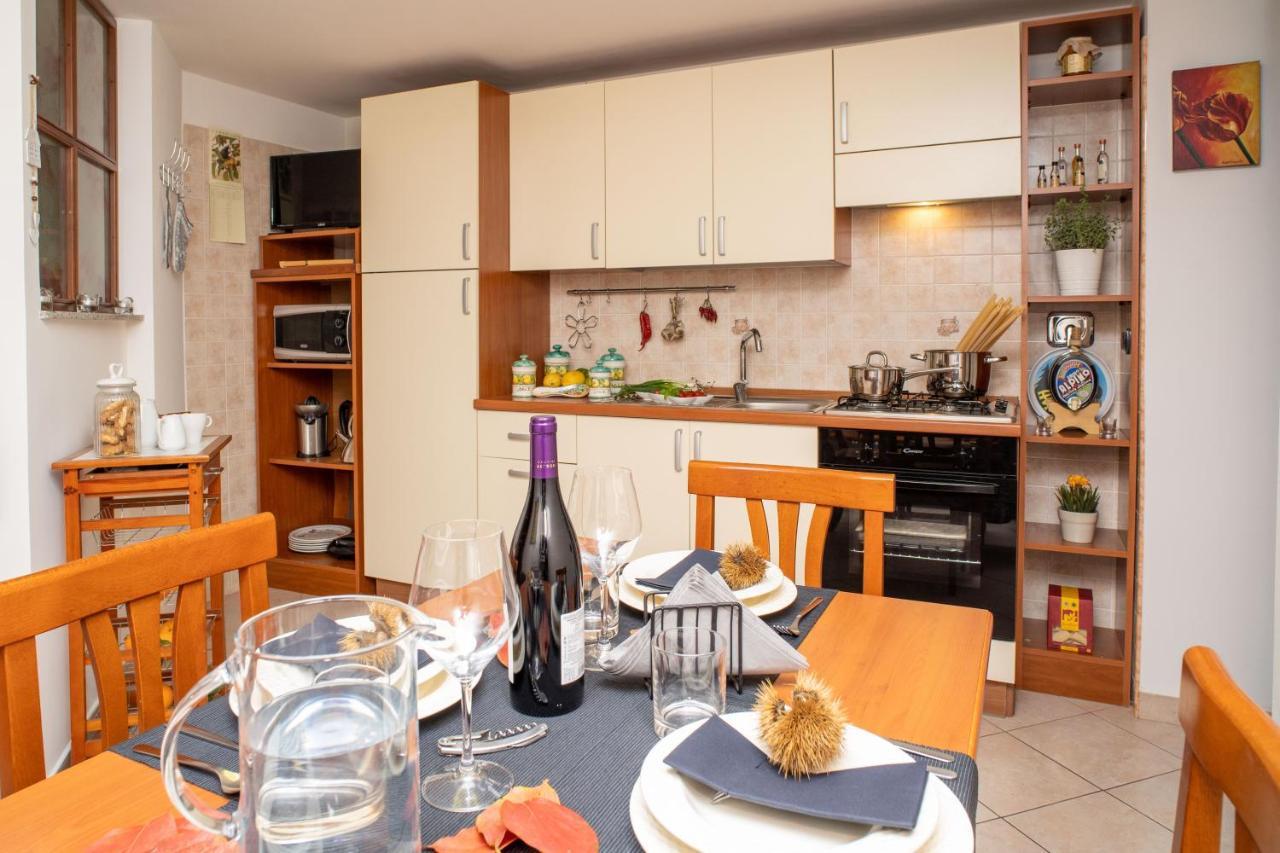 Apartment Contaldi House